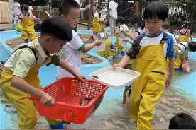 过六一，武汉一幼儿园买来40斤泥鳅请娃们捉图片