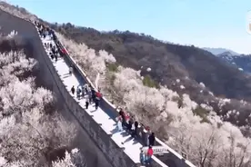 7.9亿人次！新高背后的“顶流”是什么？图片