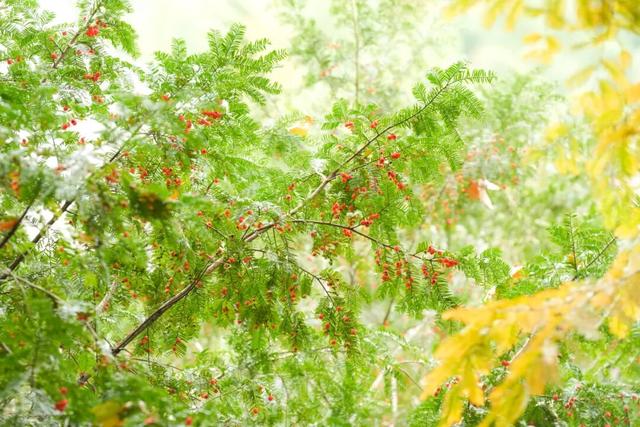 余杭初冬藏不住！这些秘境绝美~
