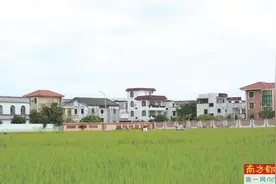 “百千万工程”首批典型 中山3镇15村（社区）上榜图片