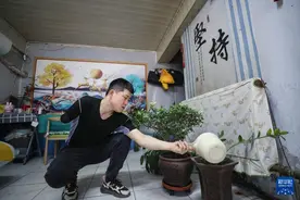 独臂外卖员王哲：断“翅”亦可飞翔图片