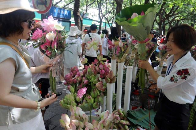 江苏苏州：荷花市集热闹非凡
