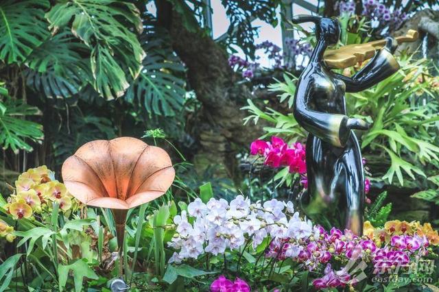 超浪漫！辰山植物园兰花多样性展示活动上线 全球珍兰集中亮相