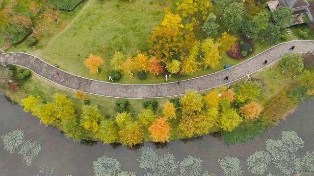 仪陇的秋天很美啊!