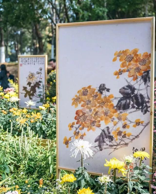 5000元+终身VIP！宝华山邀您来设计