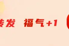 孙杨手臂贴满肌肉贴，赛后久久不忍离去图片