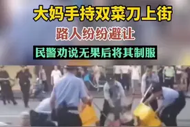 大妈手持双菜刀上街，路人纷纷避让，民警劝说无果后将其制服。#持刀上街民警制服图片