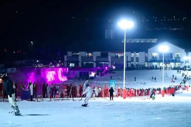 十大主题活动上线！这个冬天，鸥遇青岛！