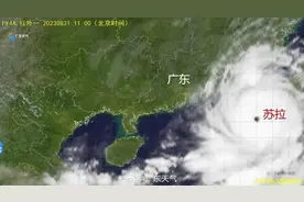 最新！广东已有深圳珠海等10个地市因台风延迟开学图片