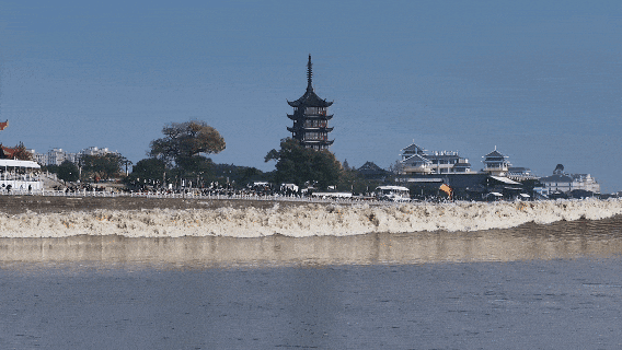 春假来了！浙江这些景区对中小学生免费