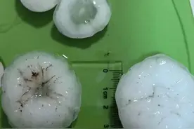 北京多区下起冰雹，市民：感觉玻璃都要被砸碎了图片