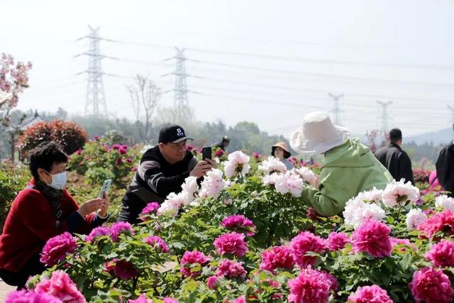 花开成海！快来打卡溧水这座校园