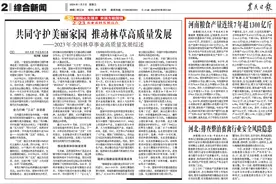 央媒观豫丨河南粮食产量连续7年超1300亿斤图片