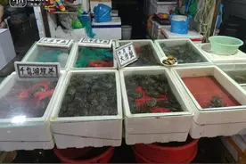 中秋大闸蟹要破百？水产市场：还没上市，现在卖的是六月黄图片