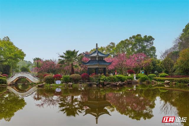 【赴春之约】株洲烈士纪念园：不只有庄严，还有被春天灌满的温柔