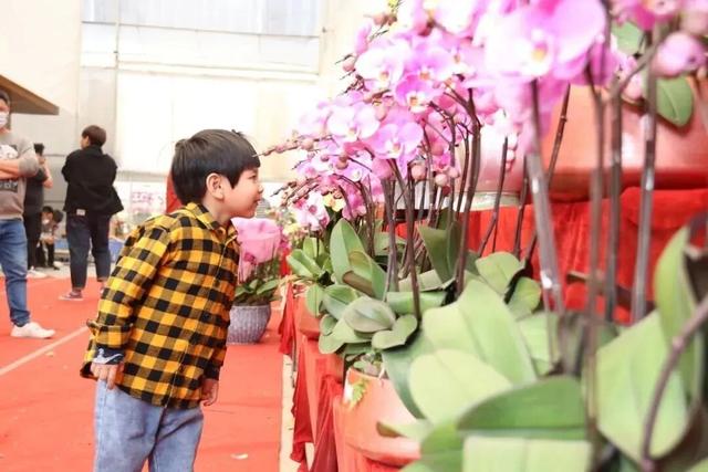 贤鲁跑名额增加！环岛吃喝玩乐购全攻略→