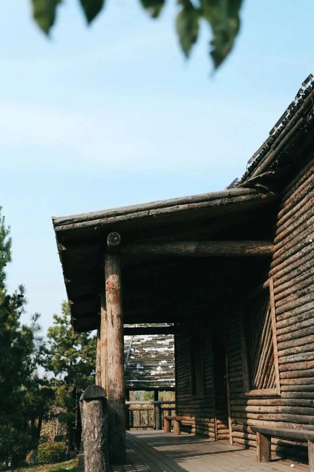 美到犯规！青城的秋，从不偏心南北