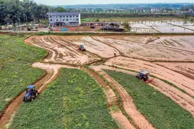肥了农田 满了粮仓——湖南桃源县开展酸化耕地治理观察图片