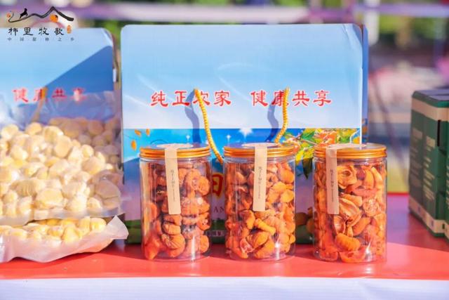 从舌尖甜到眼底！罗田甜柿季+红叶季两大秋日盛宴，接连登场！