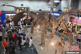 “五一”假期北京地区博物馆观众接待量创历史新高图片