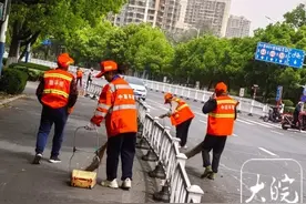 现场｜六安市刮大风，有行道树被大风拦腰吹断图片