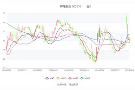 辉隆股份：2024年上半年净利润1.76亿元 同比下降28.33%图片