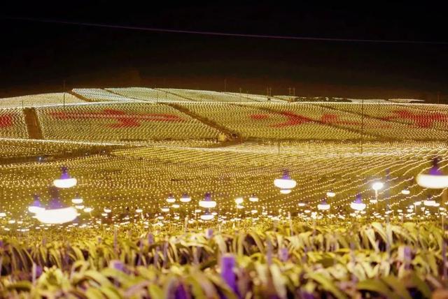 距南宁2h车程！这里有21℃的碧波，这里的森林精灵有自己的“浪浪山”……