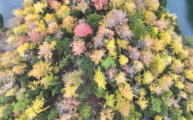 我在这里，等你→