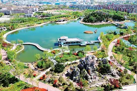 山东东营：把城市“搬”进公园图片