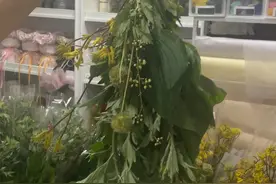 粽子不用煮、艾草包成花束，端午节新“氛围组”已上线图片