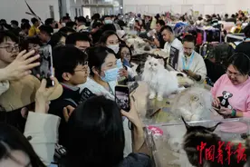 宠物时装、宠物直播、宠物AI无创体检.....“它经济”持续升温图片