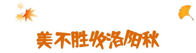 亮相央视！洛阳这些赏秋地，太美！