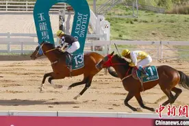 2024玉龙国际赛马公开赛&中国马主联盟系列常规赛山西右玉开锣图片