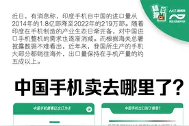 国产手机卖去哪里了？上半年出口超3亿台，多销往美国、香港图片