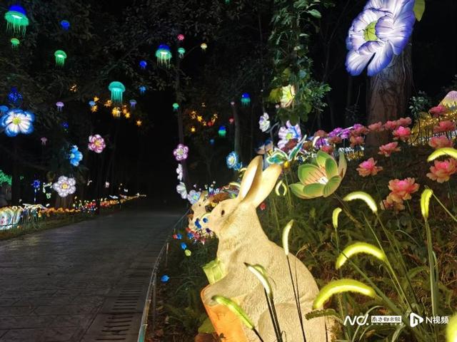 元旦假期，到岭南印象园昼观巾帼醒狮，夜赏铁花千灯