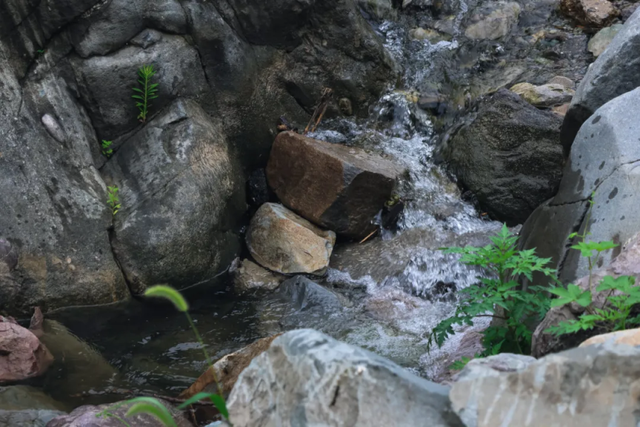 夏日寻凉记——漫行西山绿道（一)