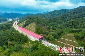 广西苍梧至容县高速8标项目完成全部梁板预制图片