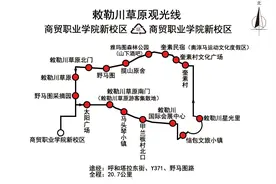 专线开通！即日起，直达草原不转弯~图片