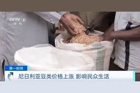 价格上涨约250%！尼日利亚豆类价格飙升，民众直呼“ 吃不起”图片