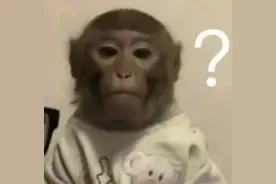 上海男子出差回家，突然傻眼：屋里竟住着陌生人！妻子：我同意的图片