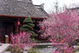 成都赏花宝藏地大公开！坐地铁就能直达花海，还大多免费！图片