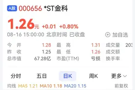 中金资本等12家投资人报名参与金科股份司法重整图片