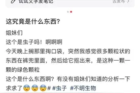 密密麻麻，很多人家中突然大量出现……紧急提醒→图片