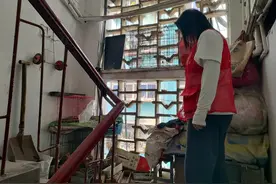 楼道养鸡扰四邻 网格员“出马”解难题图片