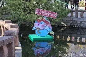 “趵突泉锦鲤要减肥”冲上热搜！方案公布→网友：还是要管住嘴啊图片