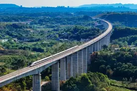 重庆-泸州最快26分钟！渝昆高铁川渝段正式通车图片