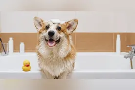 看似冷门实则真香 高考生 这几个农学专业考虑一下→图片