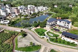 茂名化州：打好“乡村幸福”四张牌，新塘变“蜜”塘图片