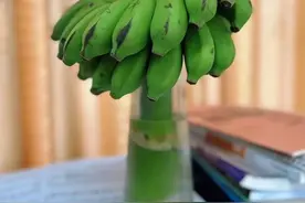 “禁止蕉绿”“动感光菠”……这些鲜切“水果花”你买过吗？图片