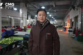 舌尖上的中国：泰和“早酒”图片